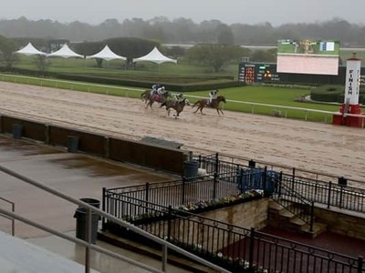 The Impact Article - Oaklawn Park cancels racing all week; Cox's plans